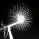 Image for article titled Capturing the Veined Beauty of Lightning